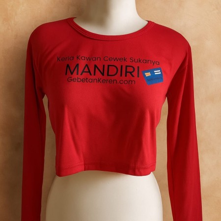 Baju crop lengan panjang