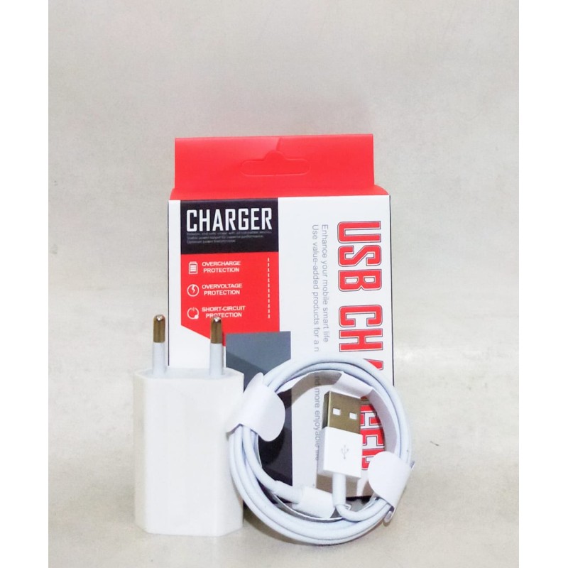 Charger iPhone (GKS Legok)