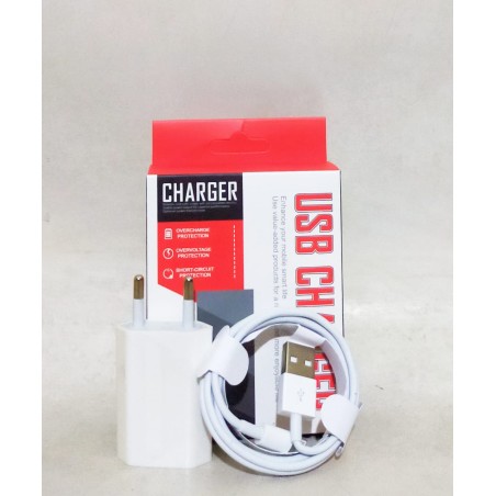 Charger iPhone (GKS Legok)