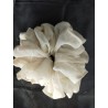 Ikat rambut cepol warna putih (GKS Legok)
