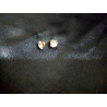 Anting bulat kristal gold (GKS Legok)