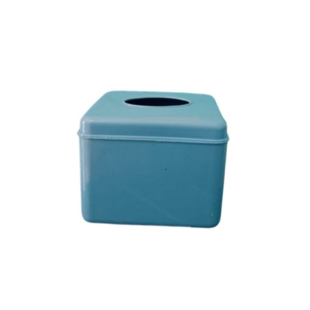 Kotak tissue biru (GKS Legok)